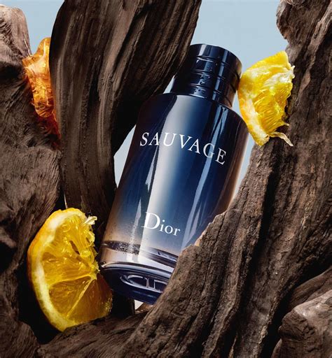 dior eau sauvage scritta|Dior Sauvage edt fragrantica.